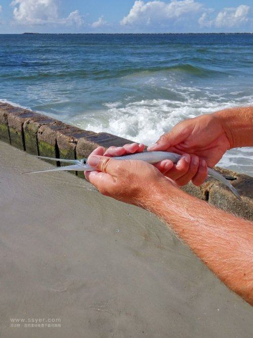 用水文監(jiān)測站助力鱔魚養(yǎng)殖 用水文監(jiān)測站助力鱔魚養(yǎng)殖